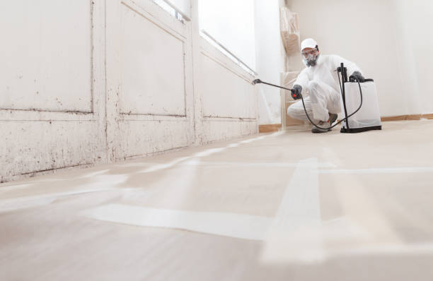 24/7 Emergency Mold Remediation experts in Roanoke, IL